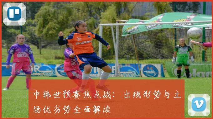 中韩世预赛焦点战：出线形势与主场优劣势全面解读