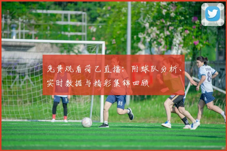 免费观看荷乙直播：附球队分析、实时数据与精彩集锦回顾