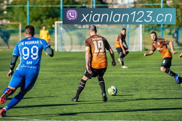 完美体育发展历程